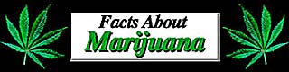 facts banner