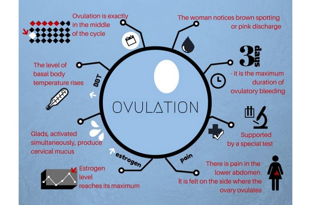 ovulation bleeding